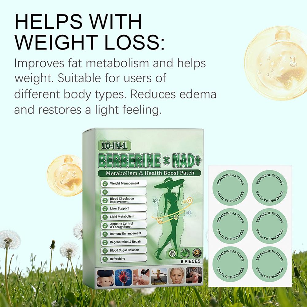 Novo adesivo de assistência ao - Xbody Health & Wellness avaliação e preço