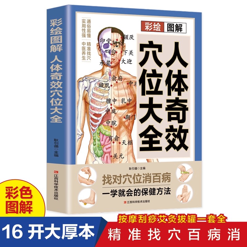 Guia Completo de Massagem em P - Health & Wellness U Of T avaliação e preço