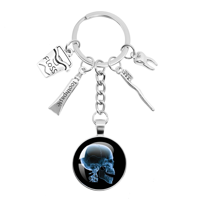 X-Ray Film Keychain, Imagem do - Xbody Health & Wellness avaliação e preço